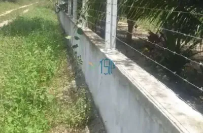 Terreno em macaiba / terreno murado em macaiba / terreno com agua e energia / terreno com arvores frutiferas / fazenda real / terreno 50x50