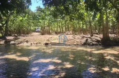 Terreno com rio cristalino- rio catolé - pureza - são miguel do gostoso-rn - terreno/ terreno com rio cristalino- rio catolé - pureza - são miguel do gostoso-rn