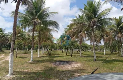 Sítio / Sítio em Pium / área em pium - Parnamirim/ Fazenda em Pium