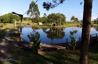 Chácara 3 dormitórios à venda zona rural passo de torres/sc