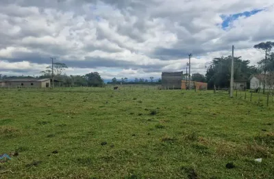Campo 3 dormitórios à venda curralinhos passo de torres/sc