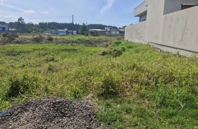 Terreno à venda na Rua Dos Pinheiros, 1006, Rota do Sol, Passo de Torres