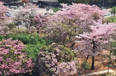 Apartamento mobiliado para locação dr. rubens meireles, barra funda/sp