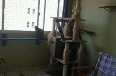 Apartamento para venda em são vicente, centro, 1 dormitório, 1 banheiro, 1 vaga