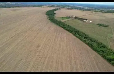 Fazenda de alto rendimento à venda em piracanjuba, go – 124 alqueires com infraestrutura completa