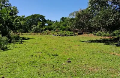 Fazenda com 1 sala à venda na Avenida Mato Grosso, 1, Zona Rural, Nova Xavantina
