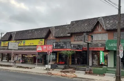Sala comercial com 2 salas à venda na Rua Professor Nivaldo Braga, 193, Cajuru, Curitiba