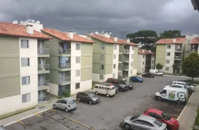 Apartamento 53m²  2 quartos - pinheirinho - r$ 240.000,00