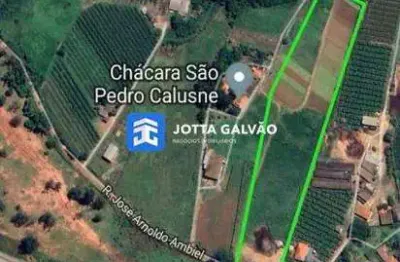 Terreno a venda, 20.000m2 - jardim são domingos - campinas