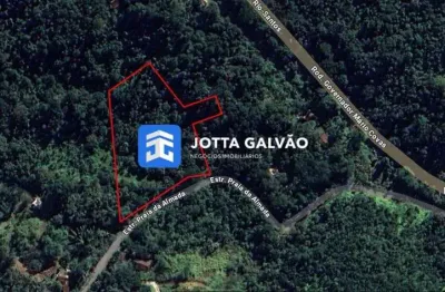 Terreno a venda, 3.708m2 - praia da fazenda, ubatuba