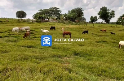 Chácara / sítio com 2 quartos à venda na Estrada Vicinal Artur Nogueira/limeira, Sítio Novo, Artur Nogueira