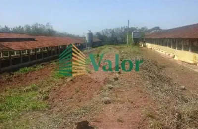 Chácara / sítio com 3 quartos à venda na Rodovia Engenheiro Thales de Lorena Peixoto Júnior, Monjolinho, São Carlos
