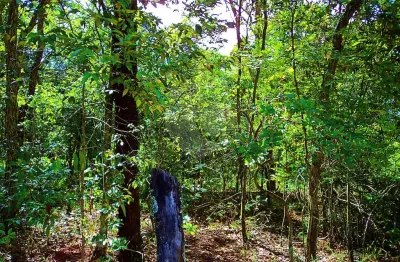 Terreno comercial à venda em loteamento de sítios de recreio aporá de são fernando, são carlos - sp