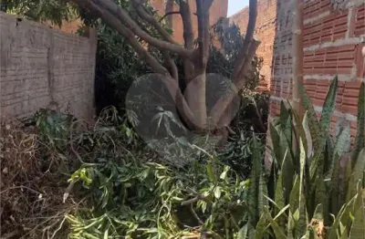 Terreno à venda na Rua Pará, Jardim Pacaembu, São Carlos
