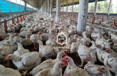 Sítio à venda, 243600 m² por r$ 4.000.000,00 - zona rural - iperó/sp