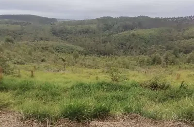 Terreno à venda no Quinta Divisão, Suzano 