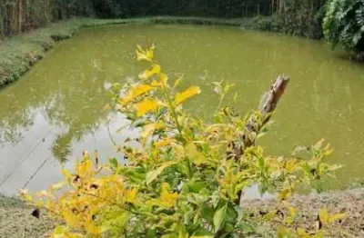 Chácara para venda em suzano, quinta divisão, 2 dormitórios, 2 banheiros, 2 vagas
