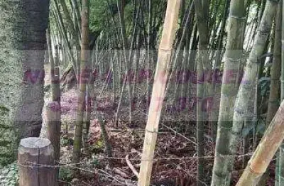 Terreno à venda no Quatinga, Mogi das Cruzes 