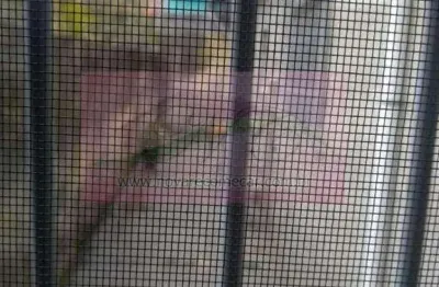 Casa para venda em suzano, jardim casa branca, 2 dormitórios, 1 banheiro, 1 vaga