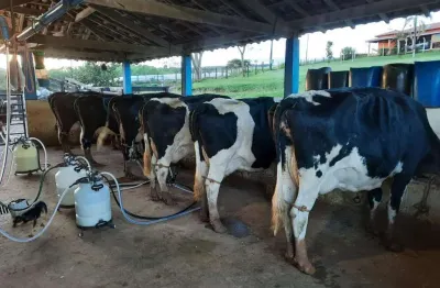 Sítio para venda em são sebastião do paraíso, ,,,, 3 dormitórios, 1 suíte, 2 banheiros, 4 vagas