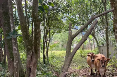 Chácara para venda em ribeirão pires, somma, 3 dormitórios, 4 banheiros, 4 vagas
