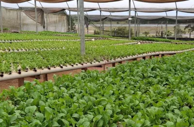 Chácara para venda em suzano, parque palmeiras, 1 dormitório, 1 banheiro