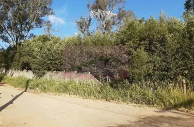 Terreno à venda na Rodovia Índio Tibiriçá, 14.000, Palmeiras de São Paulo, Suzano