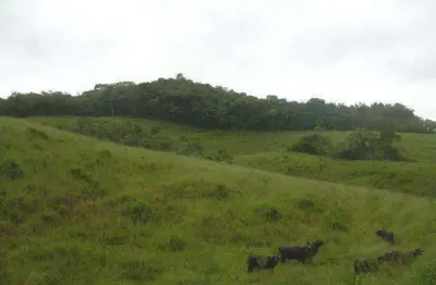 Terreno à venda no Parque Santa Rosa, Suzano 