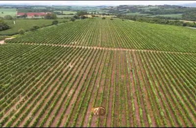 Fazenda à venda no Centro, São José da Barra 