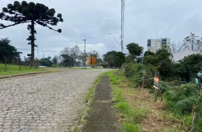 Terreno urbano 421m² , bairro desvio rizzo, em caxias do sul - rs