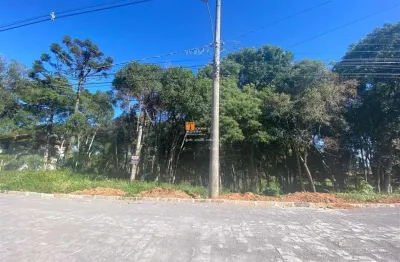 Terreno urbano, bairro nossa senhora do rosário em caxias do sul - rs