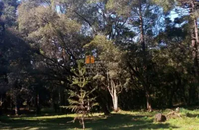Chácara / sítio com 1 quarto à venda no Centro, São Marcos 