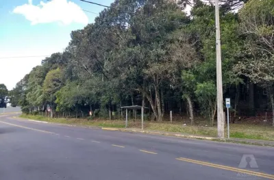 Terreno à venda no Cruzeiro, Caxias do Sul 