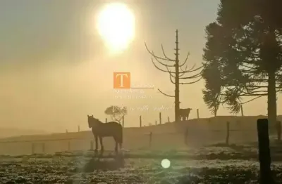 Chácara / sítio à venda em Criúva, Caxias do Sul 