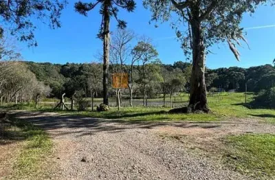 Chácara / sítio à venda na Fazenda Souza, Caxias do Sul 