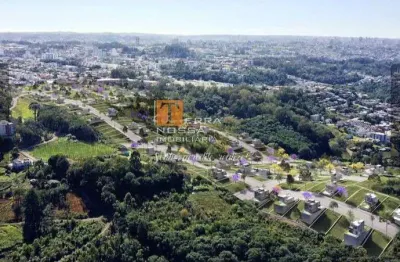 Terreno urbano, bairro desvio rizzo em caxias do sul - rs