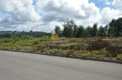 Terreno à venda na Vila Cristina, Caxias do Sul 