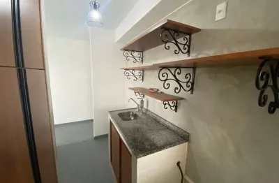 Apartamento com 2 quartos para alugar na Rua Coronel Ferreira Leal, 250, Vila Gomes, São Paulo