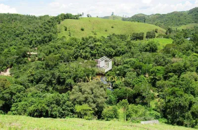 Área à venda, 200000 m² por r$ 700.000,00 - palmeiras - natividade da serra/sp