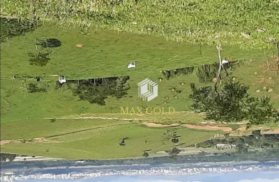 Terreno à venda, 20000 m² por r$ 350.000,00 - chácara flórida - taubaté/sp