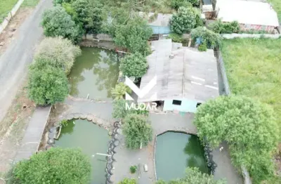 Terreno à venda na Rua Canário, Piriquitos, Ponta Grossa