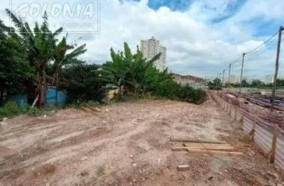 Terreno comercial para alugar no Jardim Jamaica, Santo André 