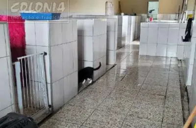 Casa com 5 quartos à venda na Vila Francisco Matarazzo, Santo André 