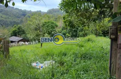 Ótima chacrinha com poço artesiano,poste de luz a 200 mts da 020