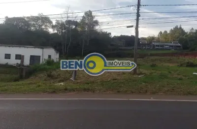 Beno imóveis vende excelente terreno na ers020 da faixa de taquara.