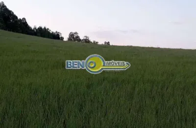 Linda área rural com 10 hectares na fazenda fialho próximo à rs 020 em gravataí.