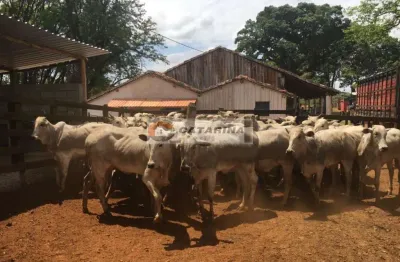 Chácara / sítio à venda na Dona Catarina, Dona Catarina, Mairinque