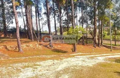 Terreno em condomínio fechado à venda na dona catarina, dona catarina, mairinque por r$ 250.000