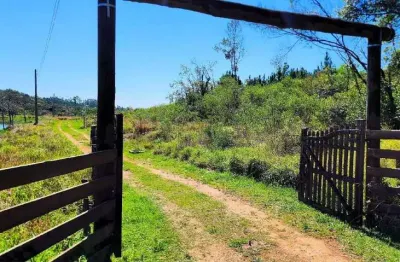 Encantadora chácara de 3 hectares com conforto e natureza em harmonia