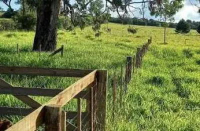Chácara / sítio à venda na Rodovia Tapir Rocha - km 28, 1200, Águas Claras, Viamão